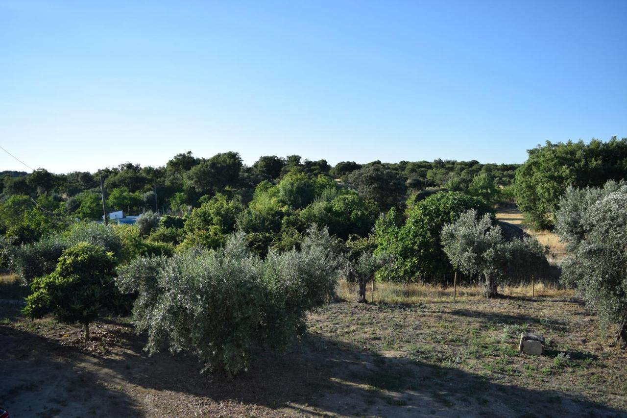 Memsoares Country House Castelo de Vide Esterno foto